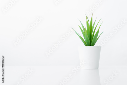 Flower pot for room interior decoration on white table background with copy space