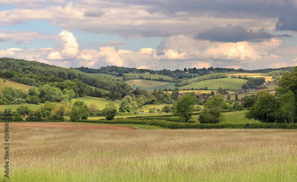 An English Rural Landscape in the Chiltern Hills An English Rural Landscape in the Chiltern Hills