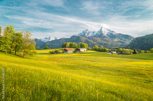 Obraz na płótnie Idyllic landscape in the Alps with blooming meadows in springtime w salonie