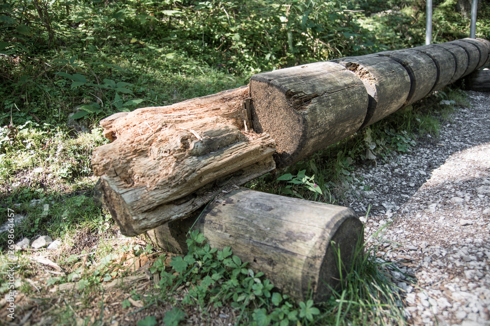 bikes park made of tree trunk made, outdoors bikes park made of tree trunk made, outdoors
