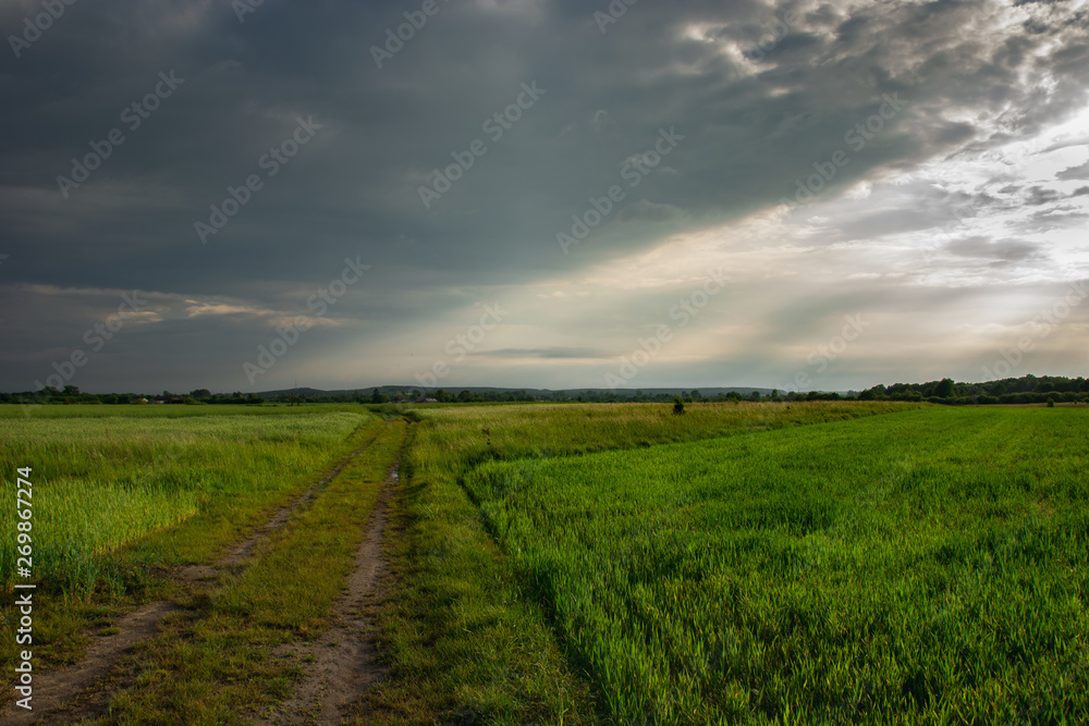 Dirt road through green young fields, horizon and storm clouds