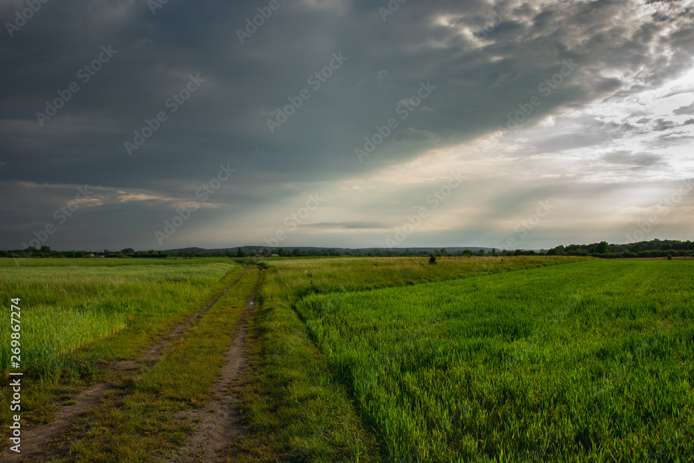 Dirt road through green young fields, horizon and storm clouds Dirt road through green young fields, horizon and storm clouds