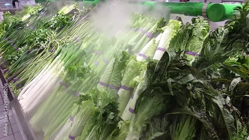 Lettuce leaves and vegetables in the supermarket.