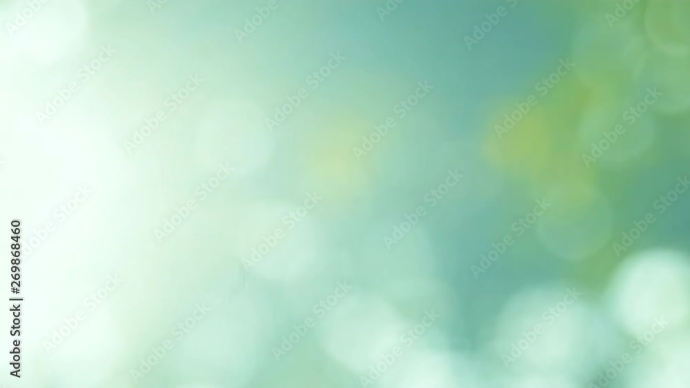 Defocused abstract nature background with green leaves and bokeh lights. Royalty high-quality free stock video footage of natural blurred bokeh background from leaf and tree effects bokeh bubble light Defocused abstract nature background with green leaves and bokeh lights. Royalty high-quality free stock video footage of natural blurred bokeh background from leaf and tree effects bokeh bubble light