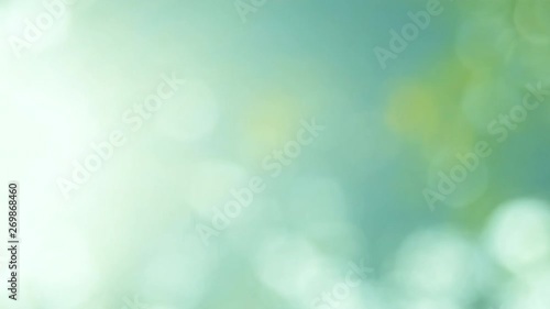Defocused abstract nature background with green leaves and bokeh lights. Royalty high-quality free stock video footage of natural blurred bokeh background from leaf and tree effects bokeh bubble light