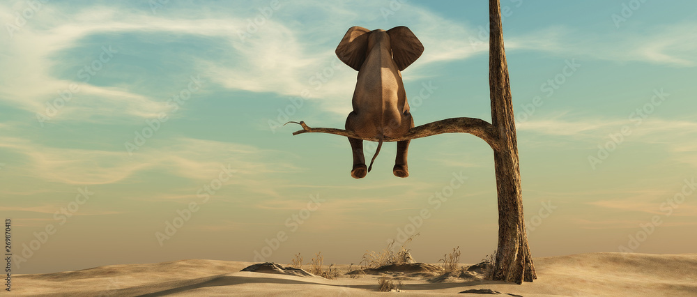 Obraz premium Samotny słoń na drzewie