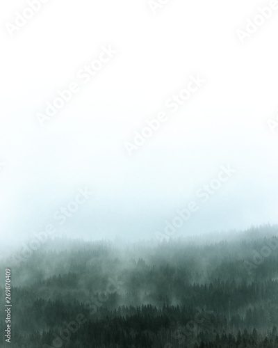 misty Finland