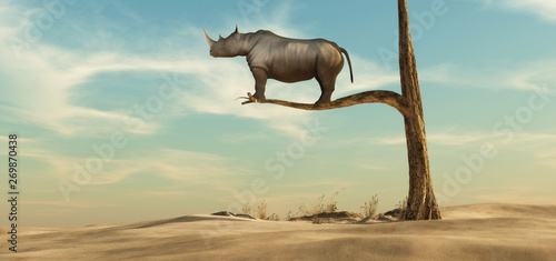 Samotny nosorożec na drzewie