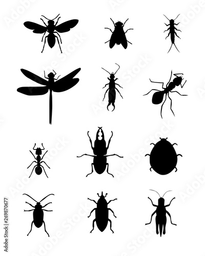 Set of insects collection. insects silhouette . Vector EPS 10.