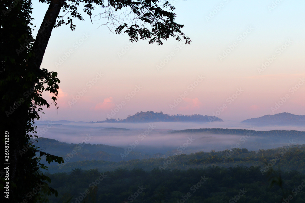 Morning mood with fog - Borneo Malaysia Asia