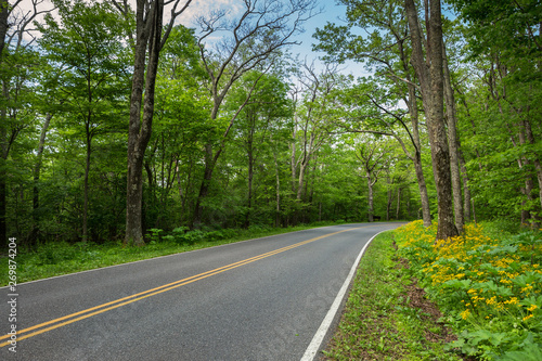 Scenic Drive in a US National Park with Wildflower