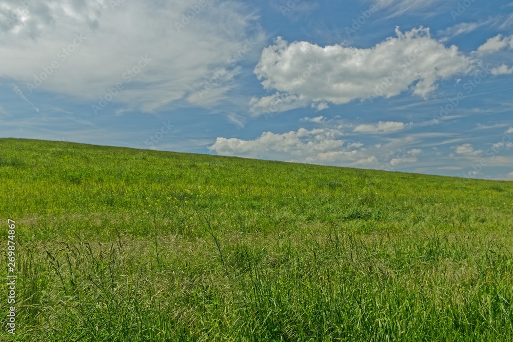 Landschaft bei Erfurt im Frühling