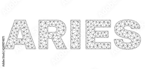 Mesh vector ARIES text. Abstract lines and spheric points are organized into ARIES black carcass symbols. Linear carcass flat triangular mesh in vector format.