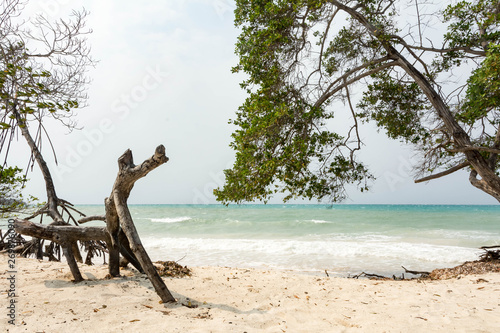 Tropical Island Beach