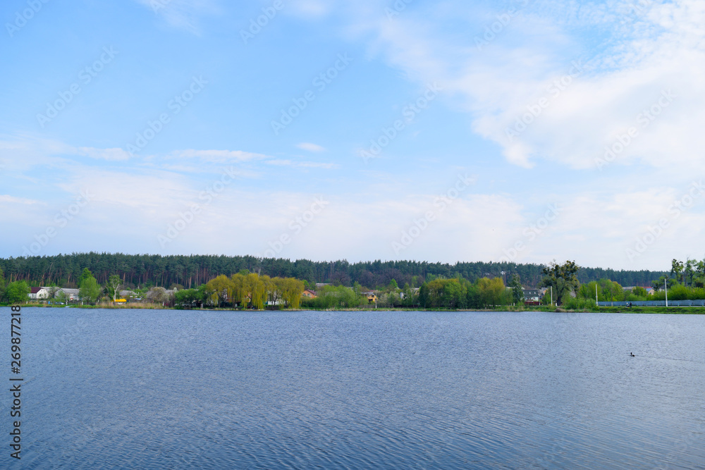 Beautiful view of the lake and forest in the distance.Nature in summer. Beautiful view of the lake and forest in the distance.Nature in summer.