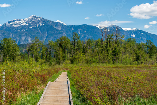 View at Wooden Trail in Park and Lake. Vancouver, Canada.