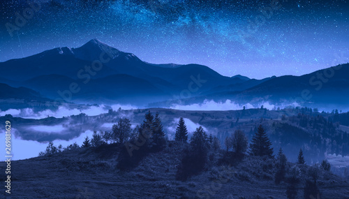 Mighty carpathian mountains at night © Bashkatov