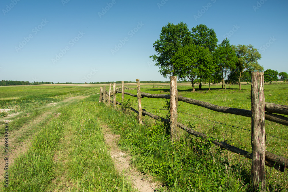 Wooden fence on a green meadow, trees and blue sky