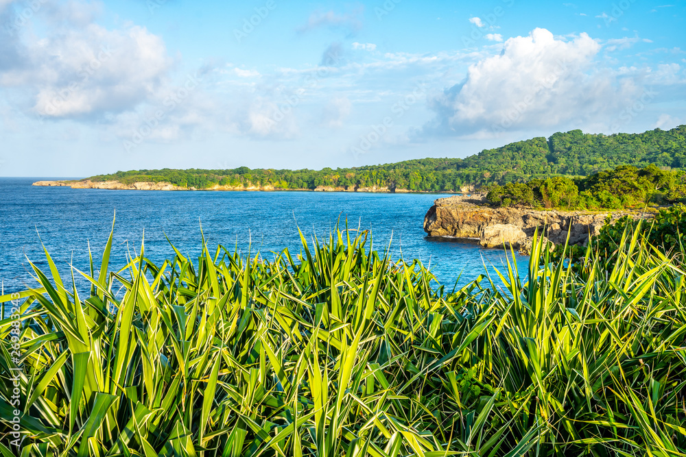 Scenic Caribbean island coastal cliff views. Coastal countryside setting on sunny summer day in tropical Portland, Jamaica. Turquoise blue ocean water and endless landscape with lush trees and plants.