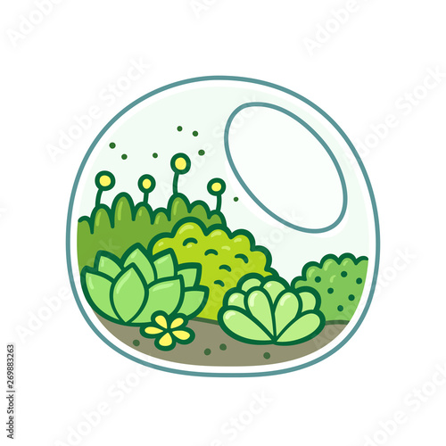 Terrarium with plants