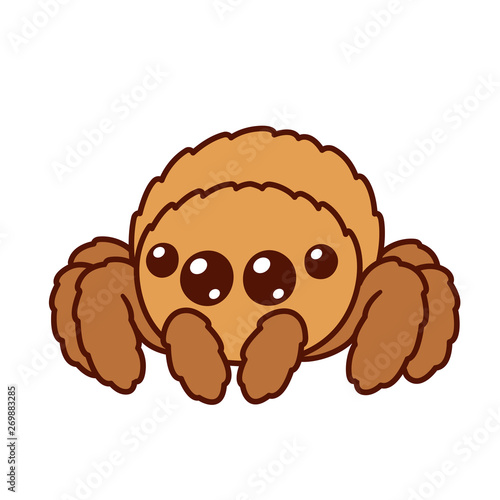 Cute cartoon spider