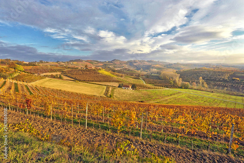 Paesaggio delle Langhe.