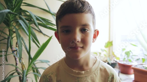 Portrait of teen boy looking at camera and smiling against the background of houseplants near the window photo