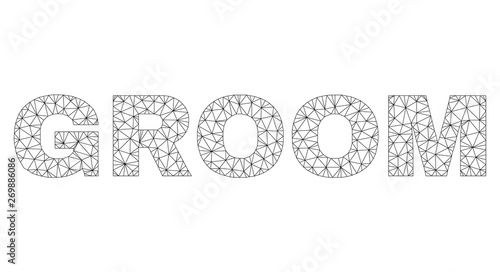 Mesh vector GROOM text. Abstract lines and dots form GROOM black carcass symbols. Linear carcass 2D triangular network in vector format.