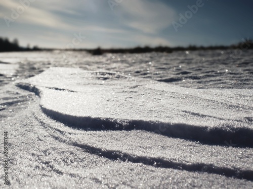 Sunny winter background. The snow shines