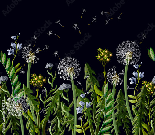 Seamless borser with dandelion and wild flowers.Seamless borser with dandelion and wild flowers.