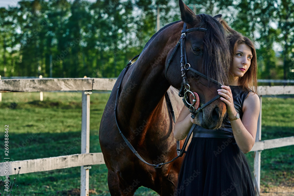 Obraz premium Young slim woman brunette in a black dress on a walk with a dark brown horse. Sunny summer evening. Close-up.