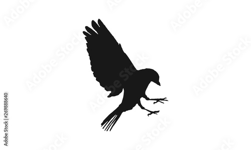 silhouette of eagle logo
