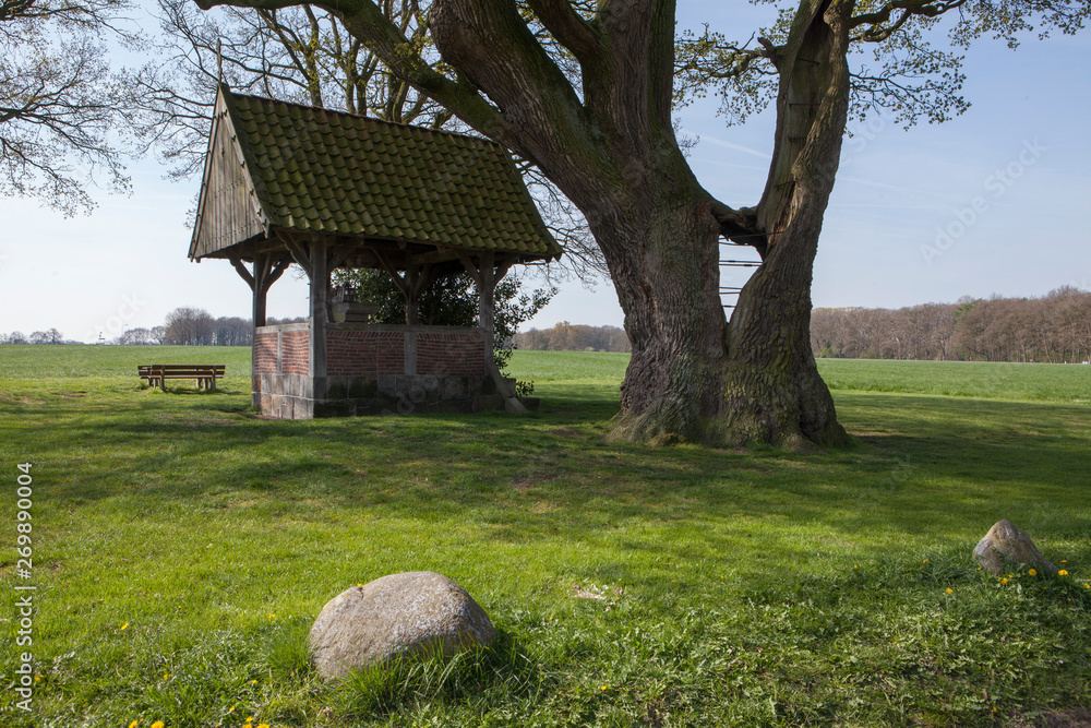 Fleringen Kroeseboom Twente Netherlands Fleringen Kroeseboom Twente Netherlands