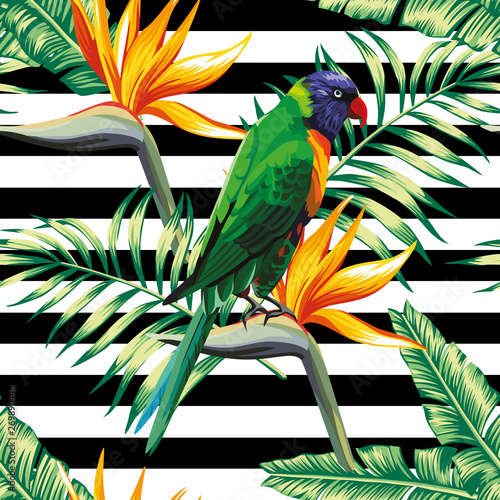 parrots exotic floral seamless background