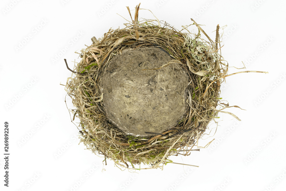 Bird nest Bird nest