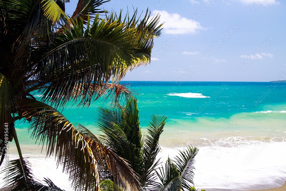View on turquoise coastline near blue lagoon with wave breakers and white foam beyond palm trees - Port Antonio, San San Beach, Jamaica