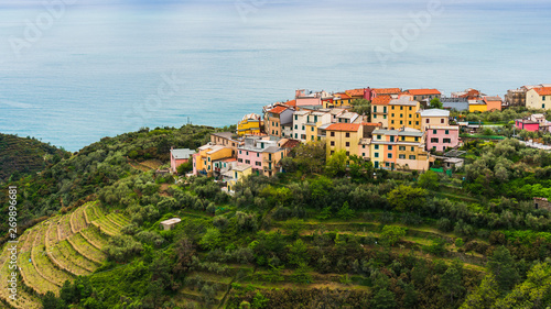 The lovely colorful and old Volastra village built on the hill top surrounded by green terraced vineyards and forest,in Cinque Terre National Park, Italy.
