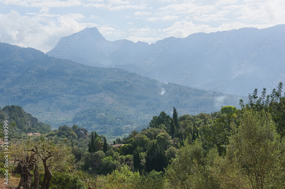 View from a hiking trail between soller and deia in mallorca in spring, may