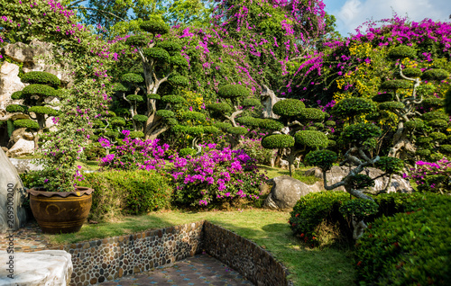 Fototapeta Naklejka Na Ścianę i Meble -  Luxury landscape design of the tropical garden. Beautiful view of tropical landscape