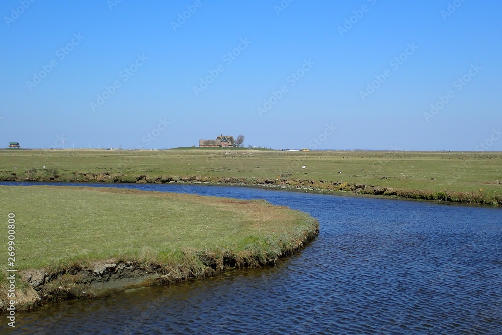 Priel und Marschwiesen mit Warft im Hintergrund auf Hallig Hooge (Nordfriesland) Priel und Marschwiesen mit Warft im Hintergrund auf Hallig Hooge (Nordfriesland)