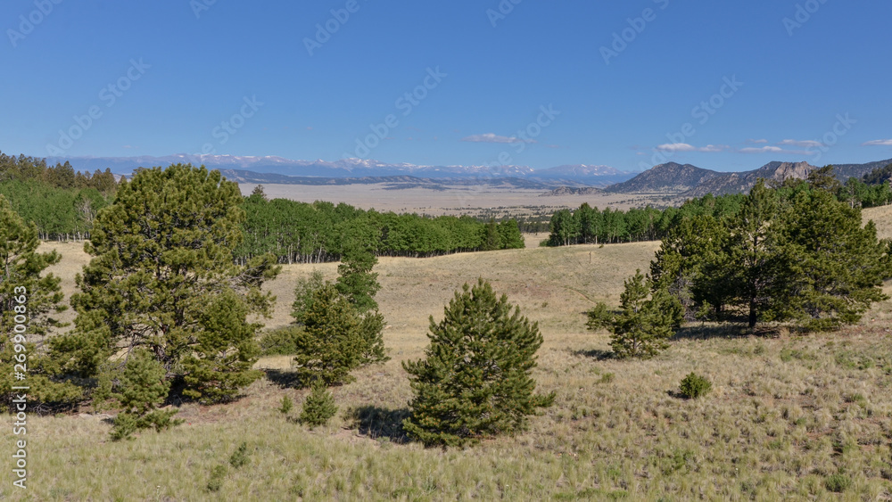 South Park valley and Sawatch Range peaks scenic view from Wilkerson Pass (Park County, Colorado, USA)