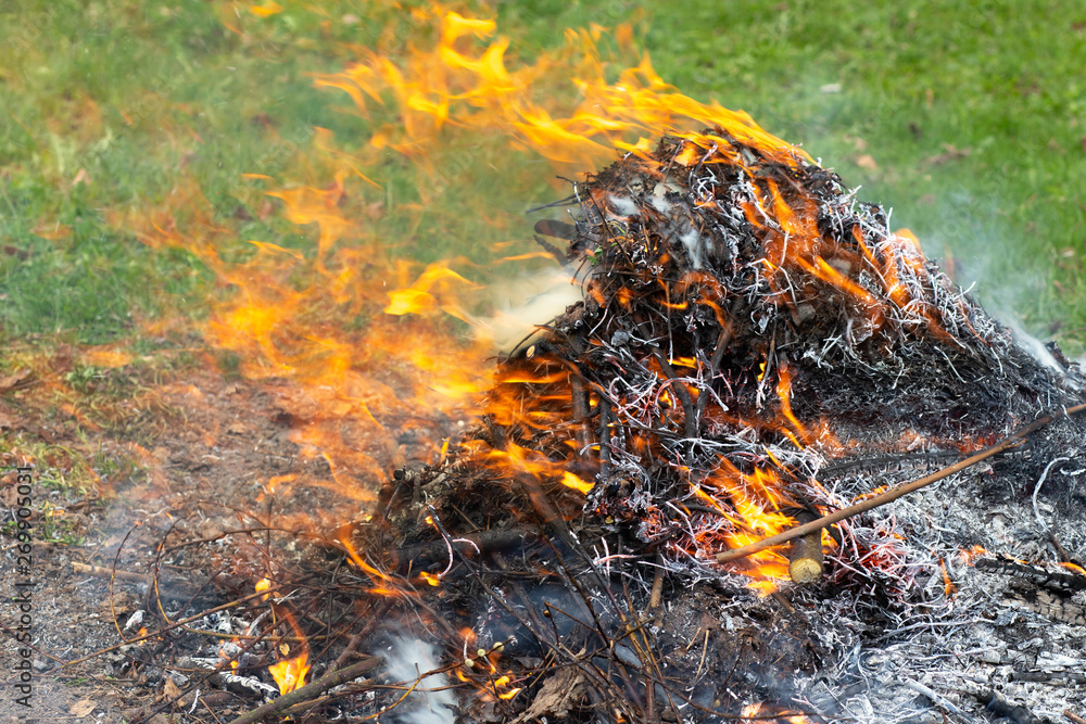 A large pile of burning branches and leaves with smoke.