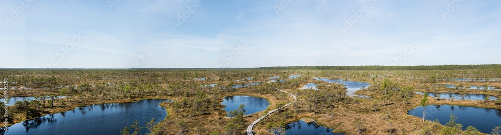 Swamp trail. Summer sunny Day. Kemeri National Park Nature Trail. Swamp trail. Summer sunny Day. Kemeri National Park Nature Trail.