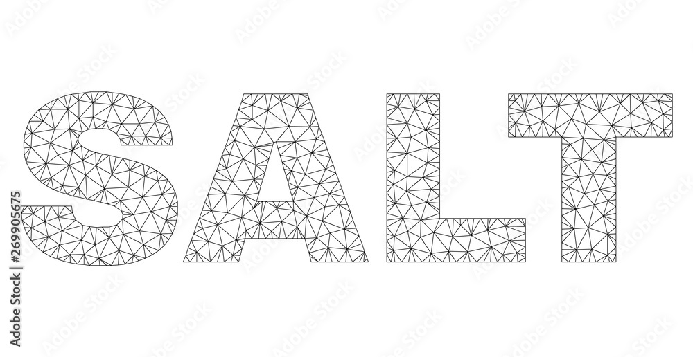 Mesh vector SALT text. Abstract lines and spheric points form SALT black carcass symbols. Wire carcass 2D polygonal mesh in vector EPS format. Mesh vector SALT text. Abstract lines and spheric points form SALT black carcass symbols. Wire carcass 2D polygonal mesh in vector EPS format.