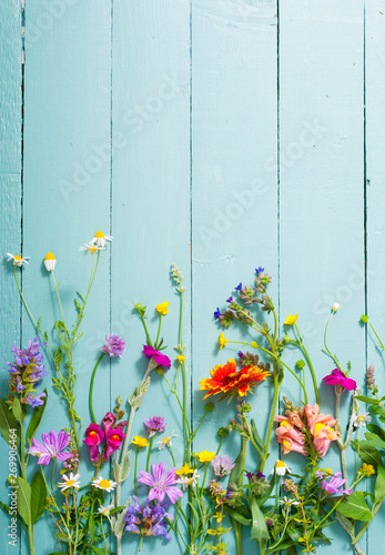 herbal and wildflowers on blue wooden table background photo