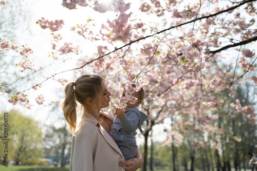 Young mother mom holding her little baby son boy child under blossoming SAKURA Cherry trees with falling pink petals and beautiful flowers