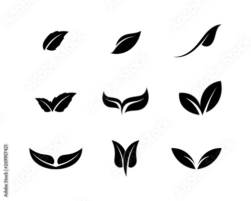 Fototapeta Naklejka Na Ścianę i Meble -  Tree leaf vector logo design, eco-friendly concept.