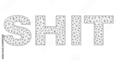 Mesh vector SHIT text. Abstract lines and spheric points are organized into SHIT black carcass symbols. Wire carcass flat polygonal mesh in vector format.