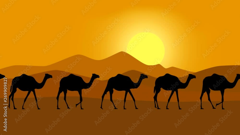Caravan of camels walking in the desert, animation with camels Caravan of camels walking in the desert, animation with camels