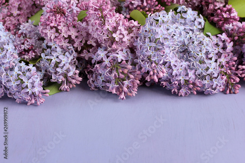 purple background with lilac, selective focus. spring floral backdrop.